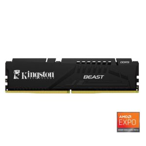 Kingston Beast 16GB 5600 DDR5 (KF556C36BBE-16TR)